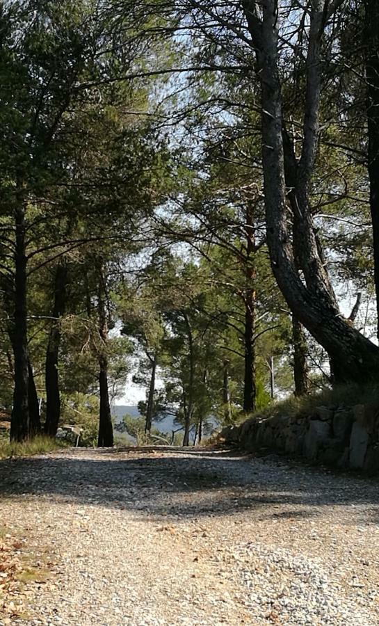 La Pinede Du Bed & Breakfast Esparron-de-Verdon